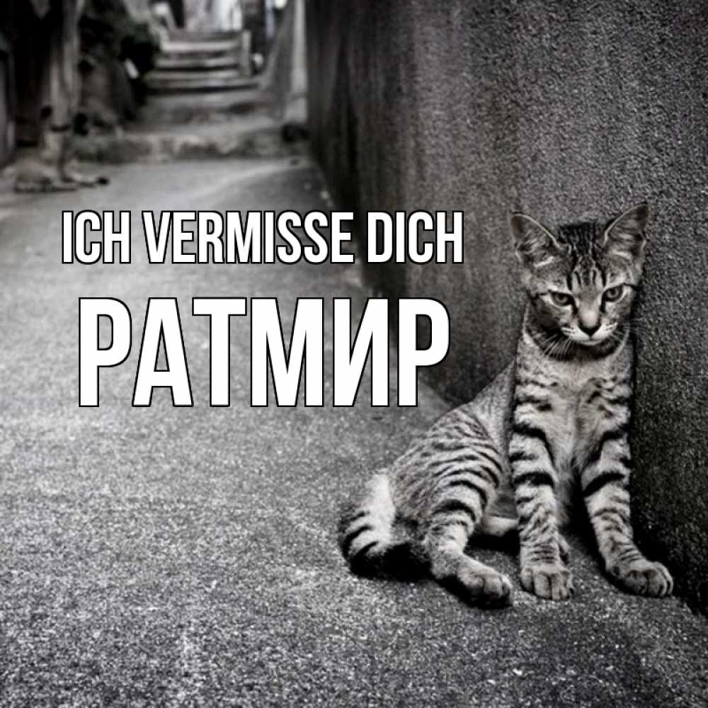 Открытка на каждый день с именем, Ратмир Ich vermisse dich одиноко котику Прикольная открытка с пожеланием онлайн скачать бесплатно 