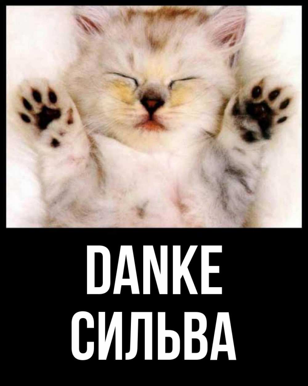 Открытка на каждый день с именем, Сильва Danke маленький котенок Прикольная открытка с пожеланием онлайн скачать бесплатно 