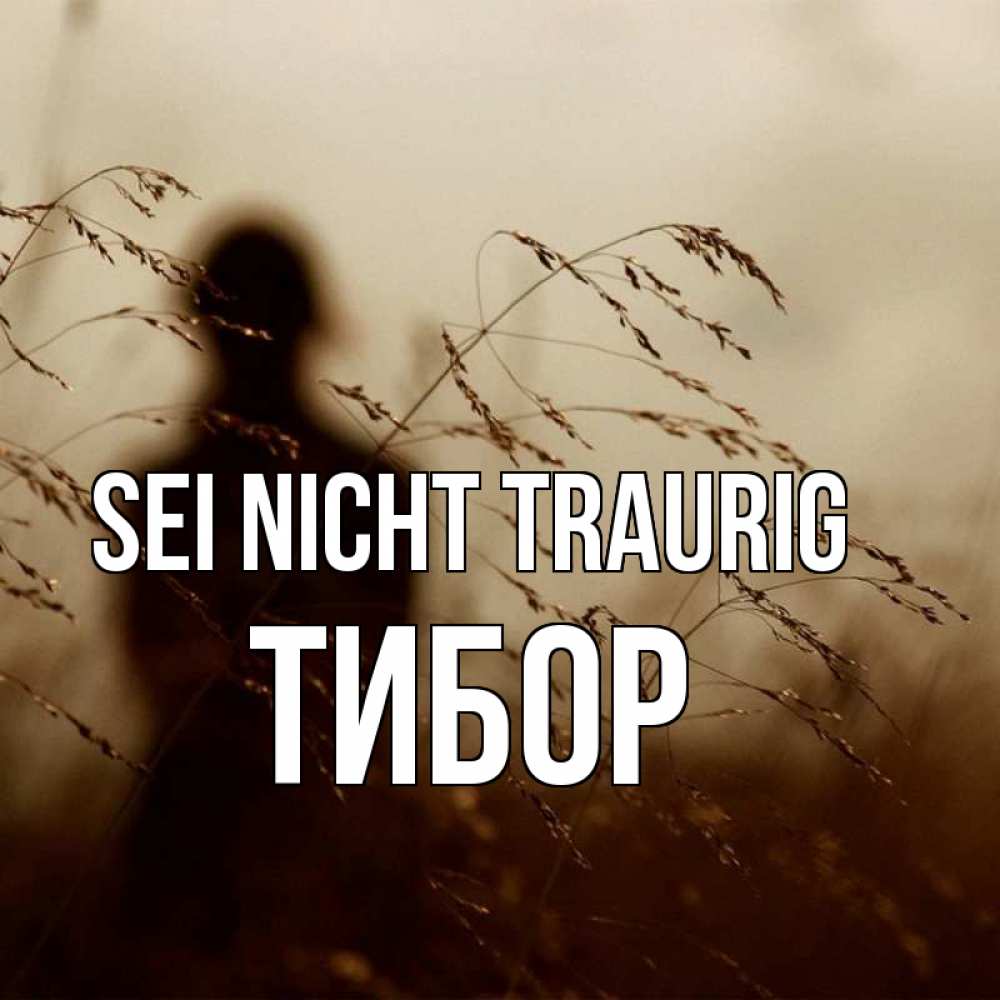 Открытка на каждый день с именем, Тибор Sei nicht traurig грусть Прикольная открытка с пожеланием онлайн скачать бесплатно 