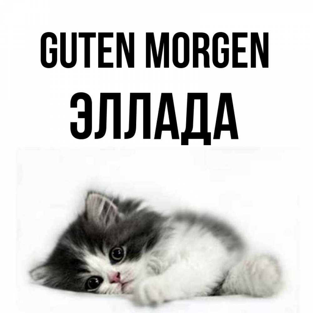 Открытка на каждый день с именем, Эллада Guten Morgen кот лапки Прикольная открытка с пожеланием онлайн скачать бесплатно 