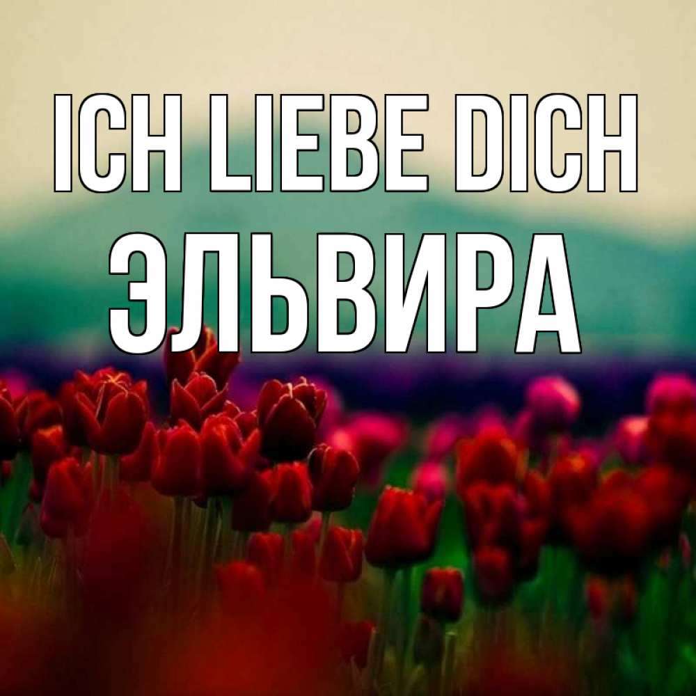 Открытка на каждый день с именем, Эльвира Ich liebe dich тюльпаны 4 Прикольная открытка с пожеланием онлайн скачать бесплатно 