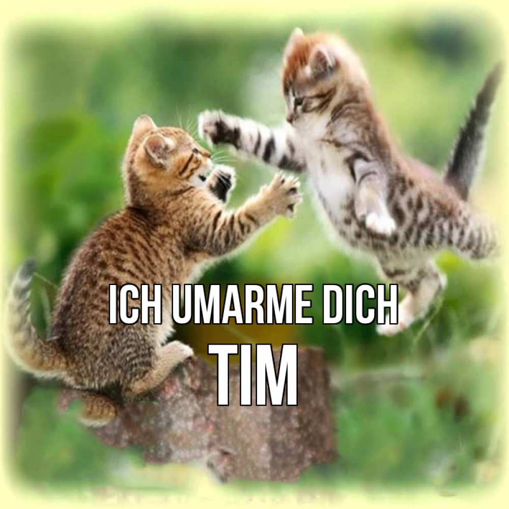 Открытка на каждый день с именем, Tim Ich umarme dich игры котят Прикольная открытка с пожеланием онлайн скачать бесплатно 