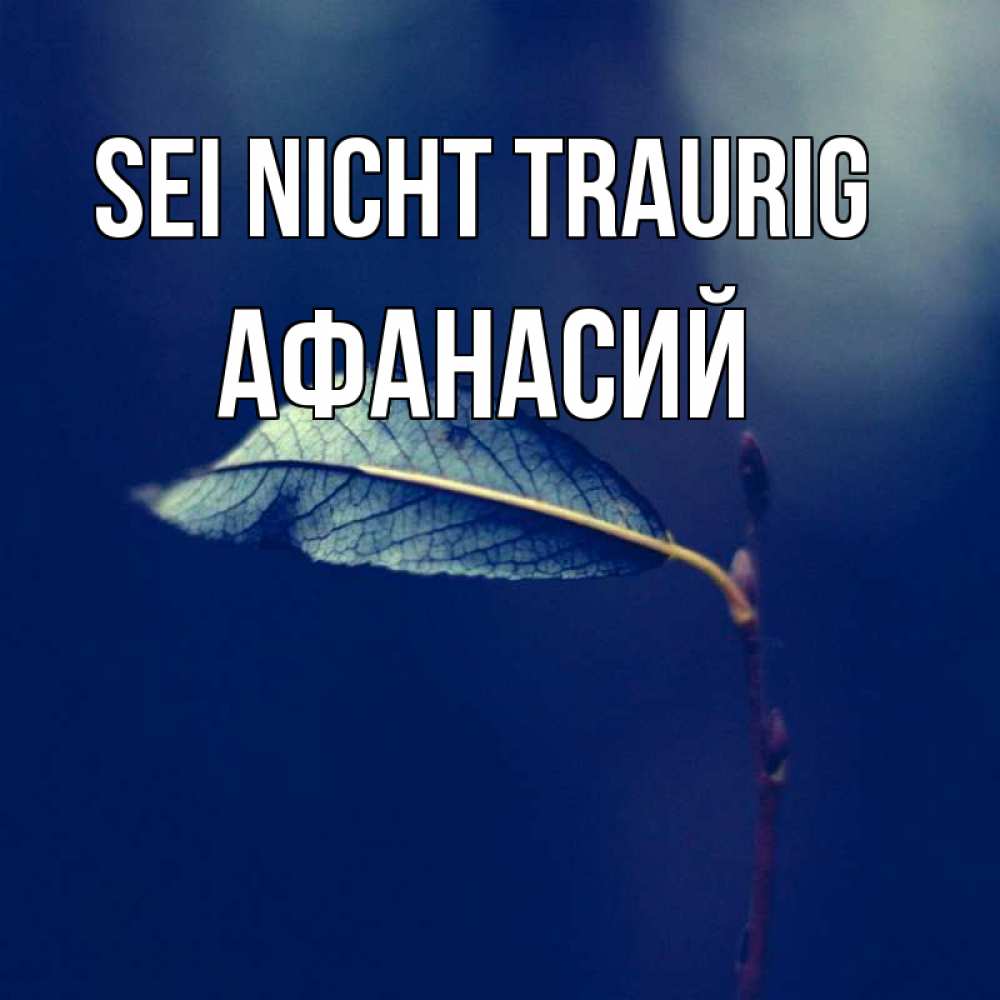 Открытка на каждый день с именем, Афанасий Sei nicht traurig растение Прикольная открытка с пожеланием онлайн скачать бесплатно 