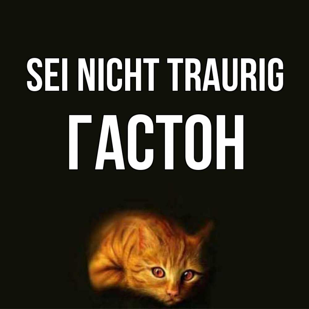 Открытка на каждый день с именем, Гастон Sei nicht traurig лежащий кот в темноте Прикольная открытка с пожеланием онлайн скачать бесплатно 