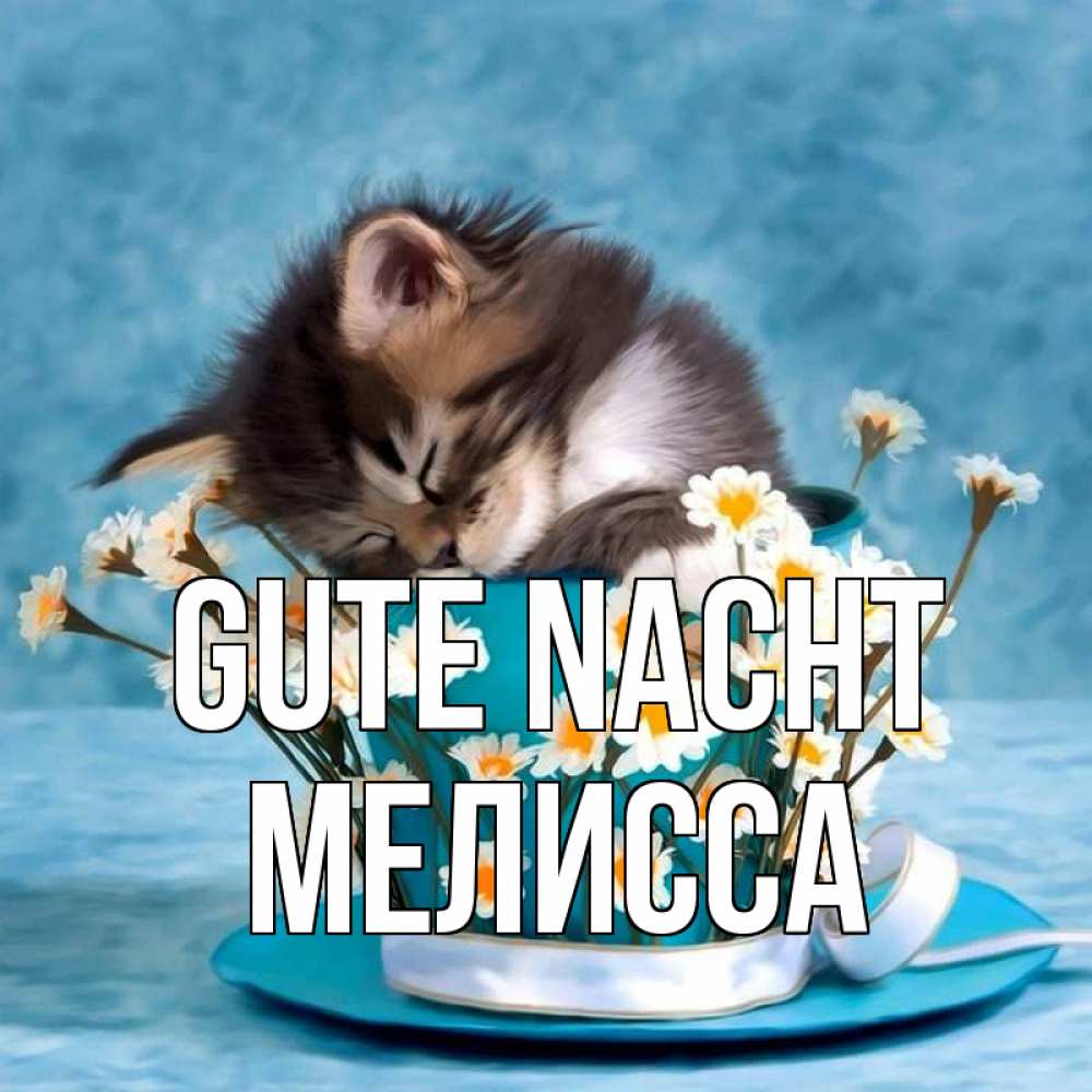 Открытка на каждый день с именем, Мелисса Gute Nacht котенок спит в кружке с блюдцем Прикольная открытка с пожеланием онлайн скачать бесплатно 