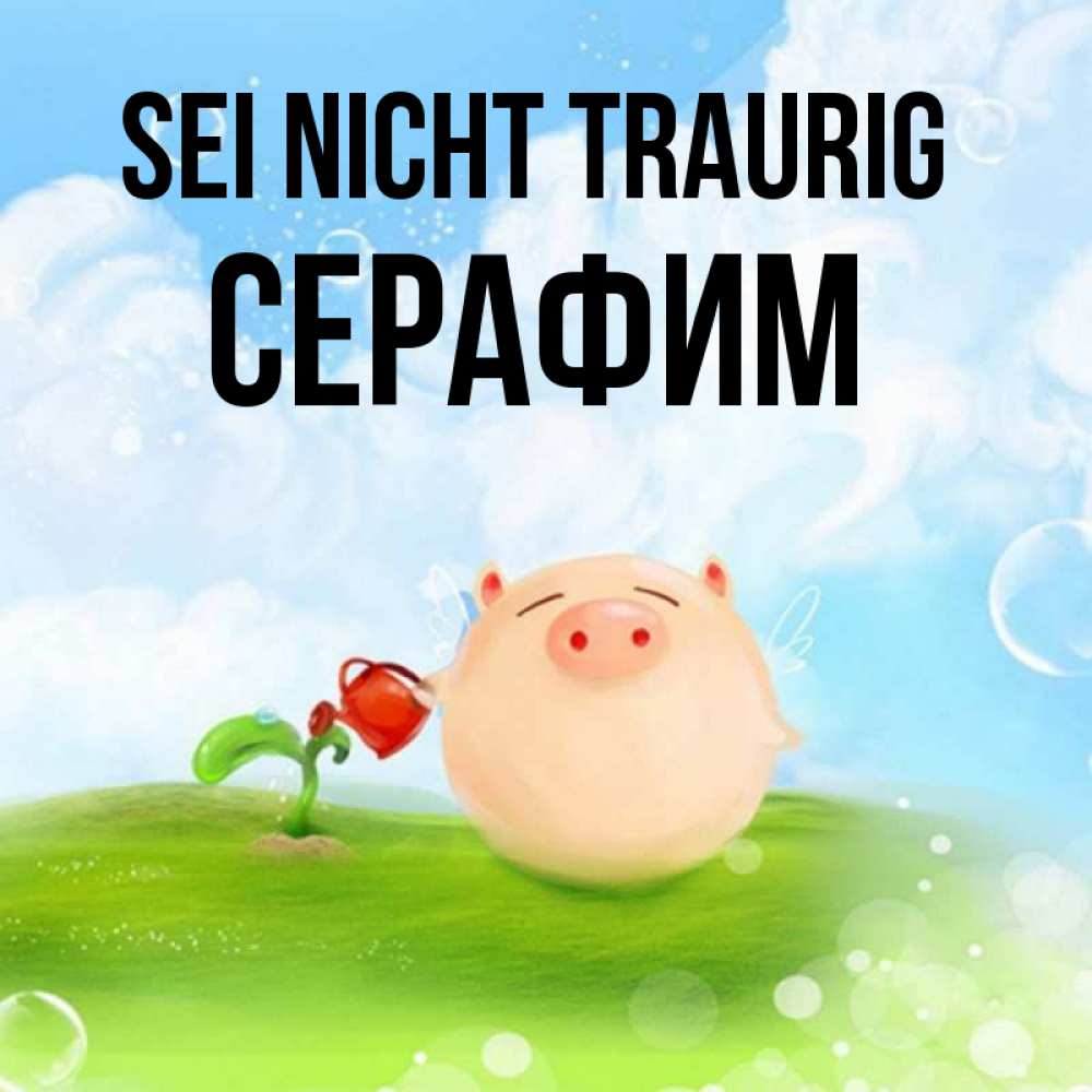 Открытка на каждый день с именем, Серафим Sei nicht traurig поливает цветок порося Прикольная открытка с пожеланием онлайн скачать бесплатно 