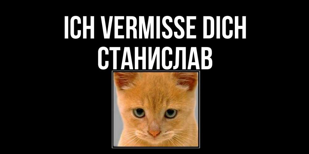 Открытка на каждый день с именем, Станислав Ich vermisse dich открытки рыжий котенок скучает по тебе Прикольная открытка с пожеланием онлайн скачать бесплатно 