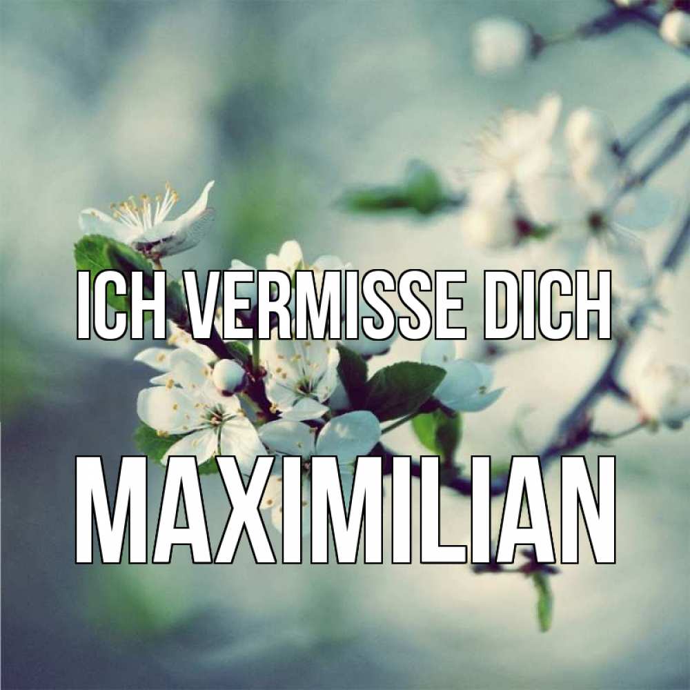 Открытка на каждый день с именем, Maximilian Ich vermisse dich весна Прикольная открытка с пожеланием онлайн скачать бесплатно 