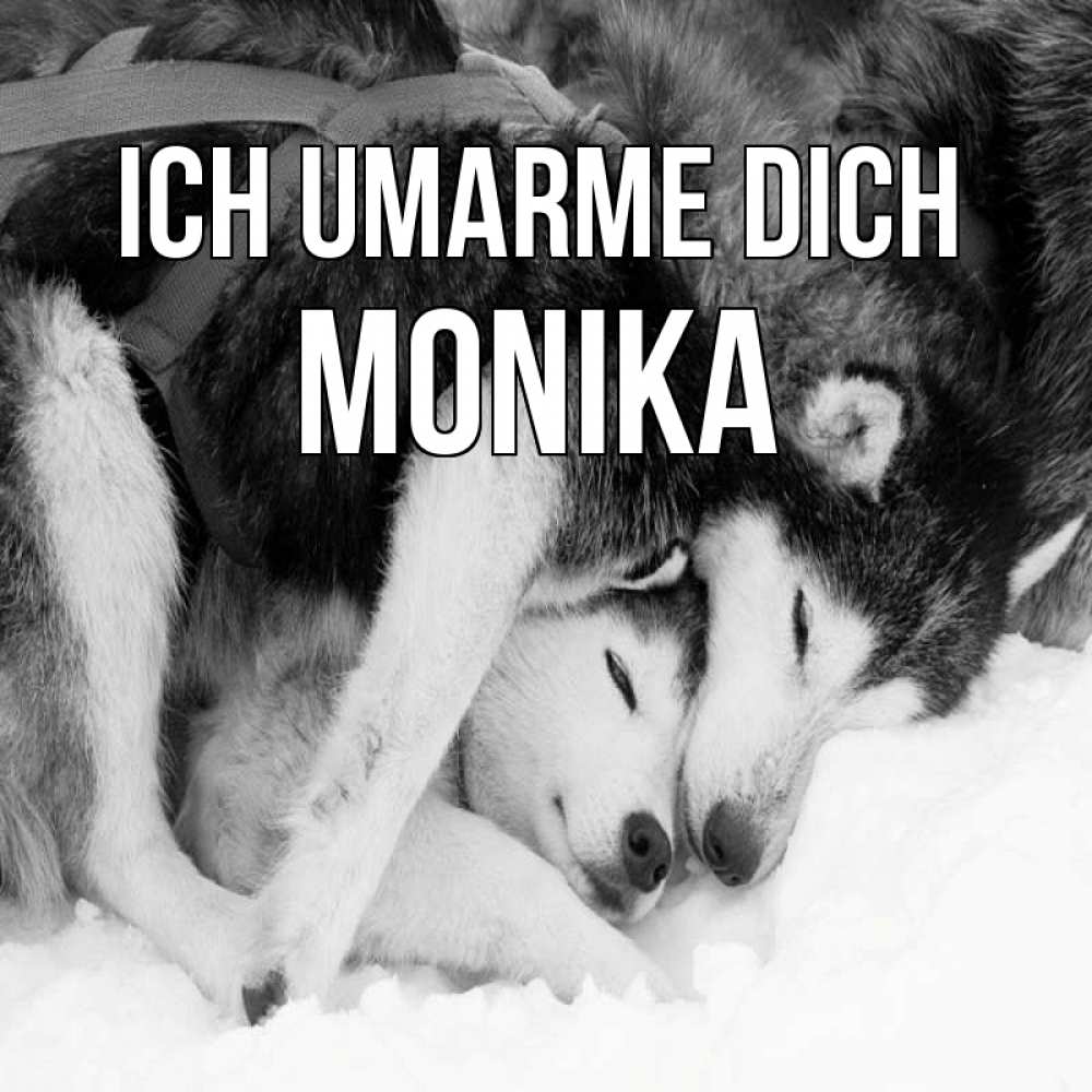 Открытка на каждый день с именем, Monika Ich umarme dich собачки в упряжке Прикольная открытка с пожеланием онлайн скачать бесплатно 