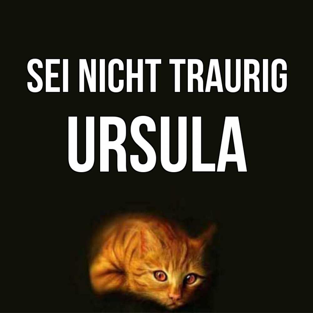 Открытка на каждый день с именем, Ursula Sei nicht traurig лежащий кот в темноте Прикольная открытка с пожеланием онлайн скачать бесплатно 