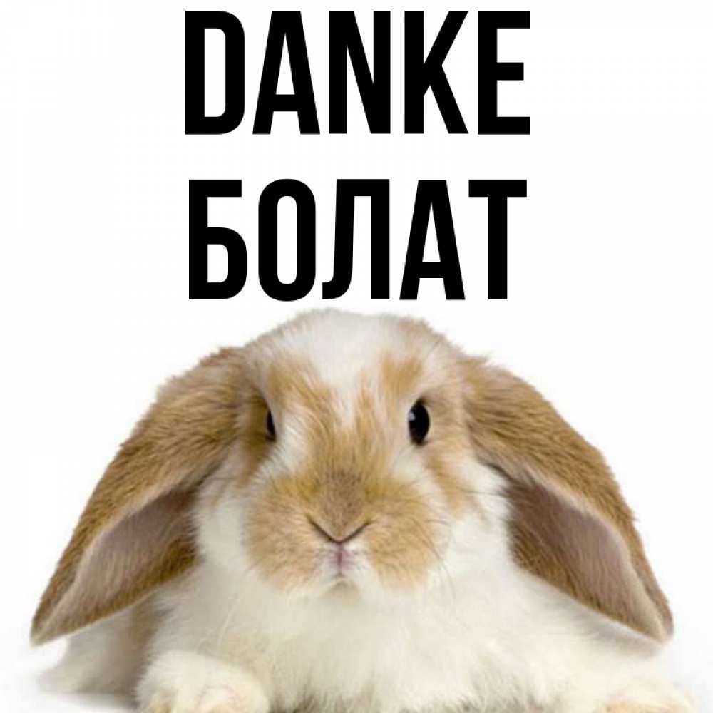 Открытка на каждый день с именем, Болат Danke коричнево белый заяц Прикольная открытка с пожеланием онлайн скачать бесплатно 
