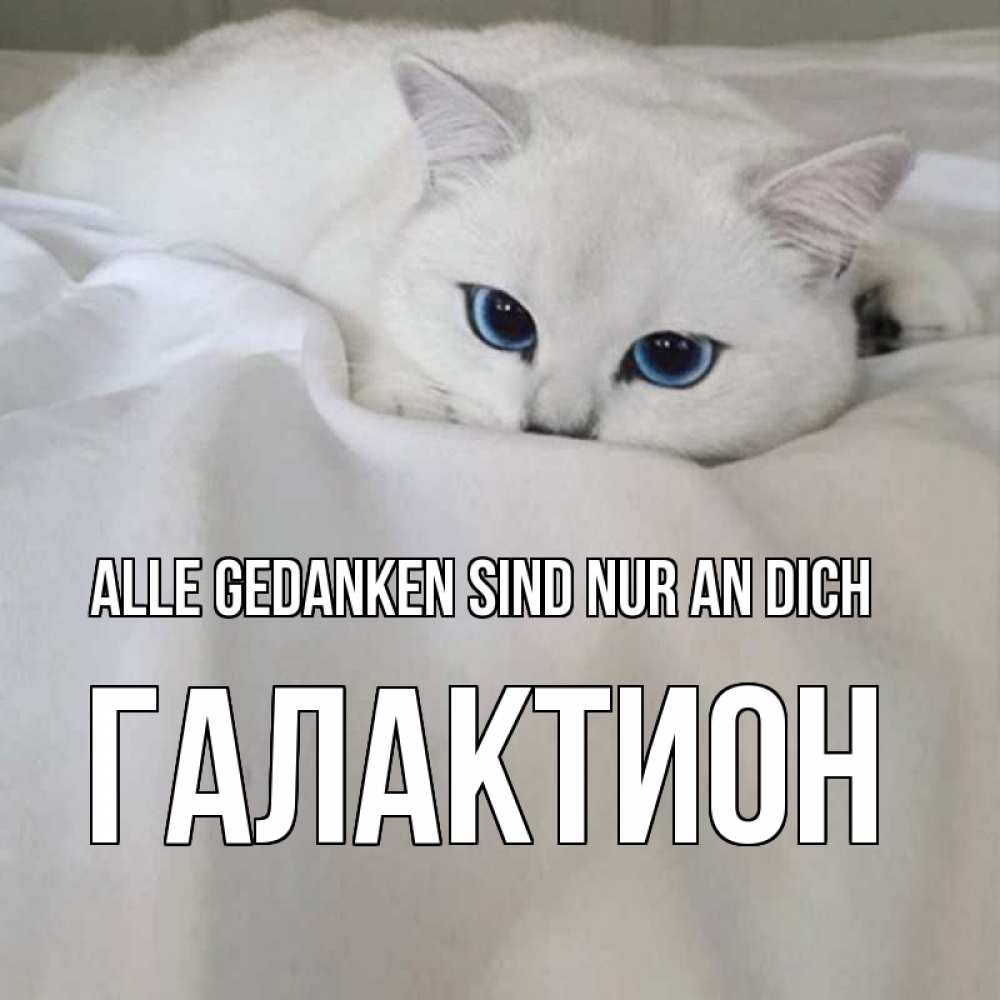 Открытка на каждый день с именем, Галактион Alle Gedanken sind nur an dich я очень по тебе скучаю и тоскую Прикольная открытка с пожеланием онлайн скачать бесплатно 