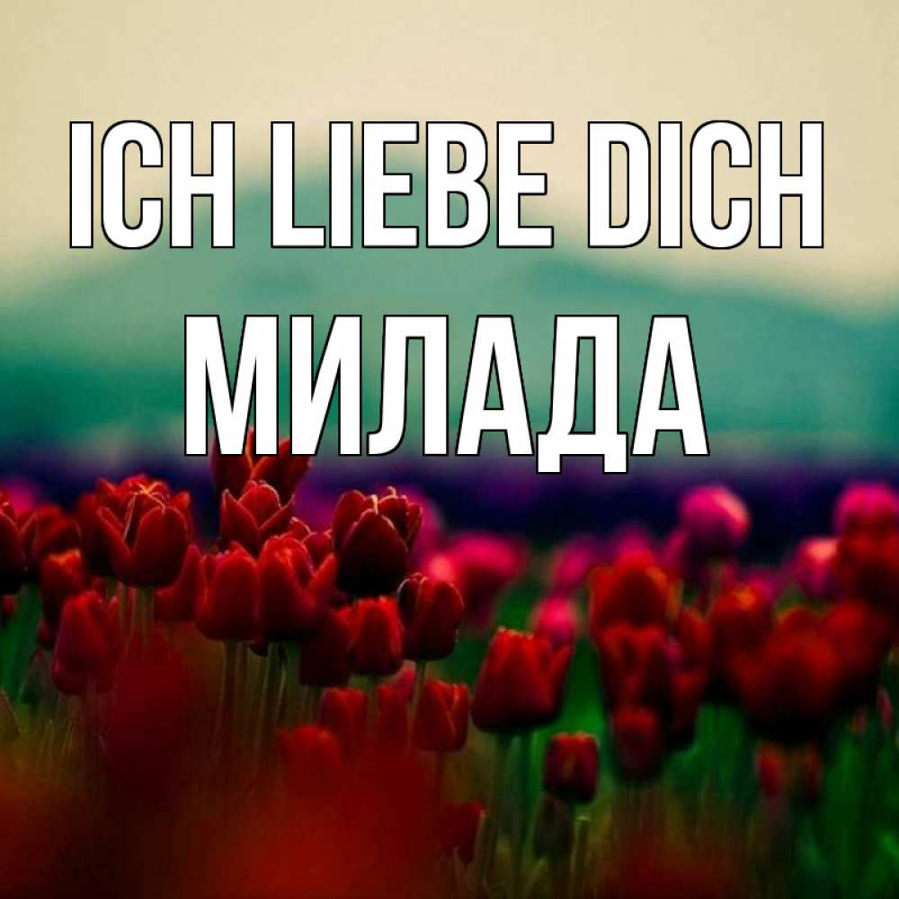 Открытка на каждый день с именем, Милада Ich liebe dich тюльпаны 4 Прикольная открытка с пожеланием онлайн скачать бесплатно 