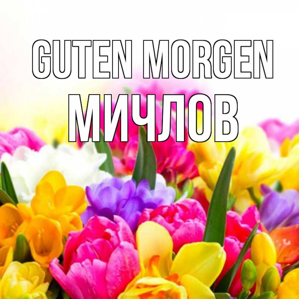Открытка на каждый день с именем, Мичлов Guten Morgen создать открытку со свое подписью Прикольная открытка с пожеланием онлайн скачать бесплатно 