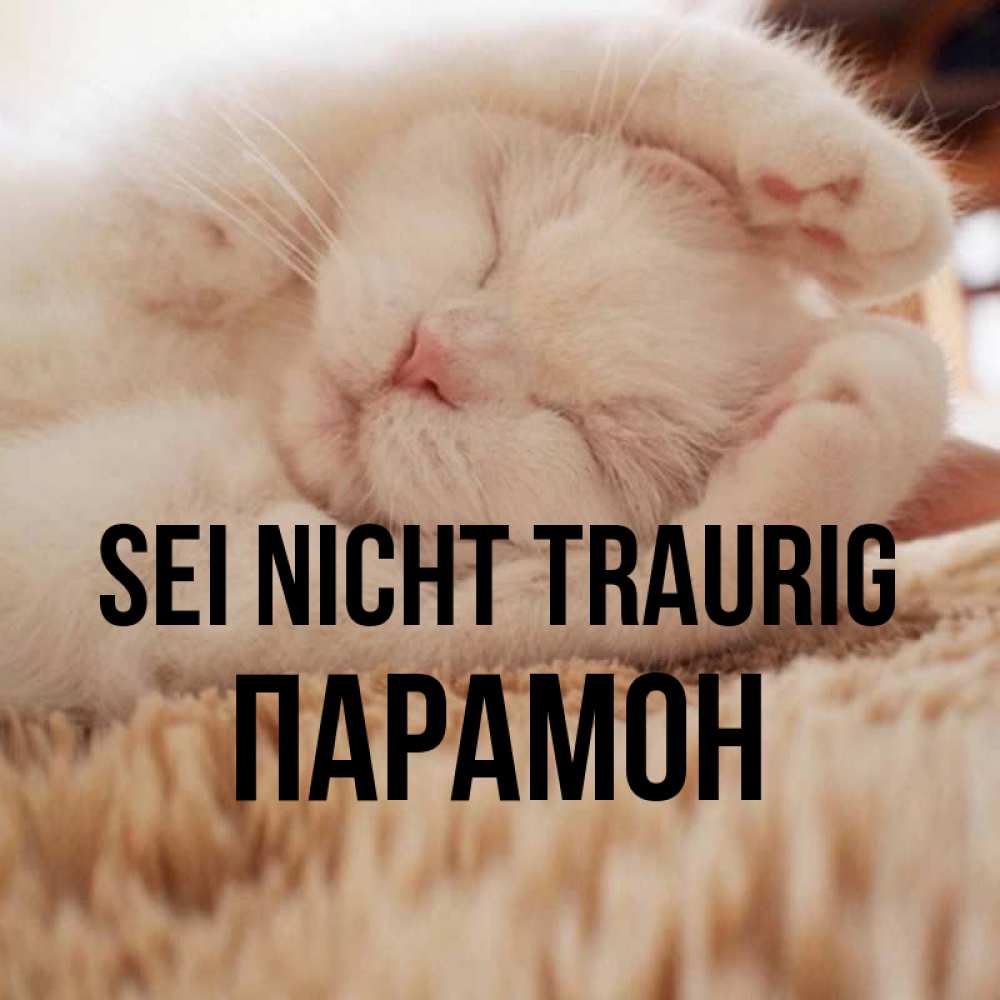 Открытка на каждый день с именем, Парамон Sei nicht traurig Котенок спит Прикольная открытка с пожеланием онлайн скачать бесплатно 