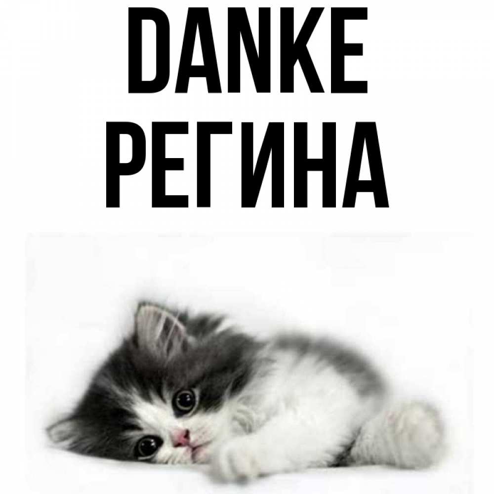 Открытка на каждый день с именем, Регина Danke черный и белый кот Прикольная открытка с пожеланием онлайн скачать бесплатно 