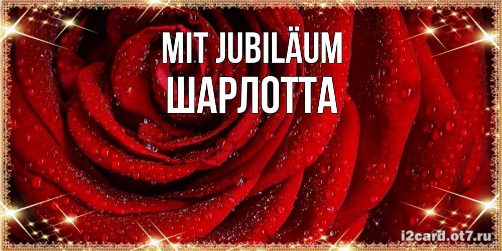 Открытка на каждый день с именем, Шарлотта Mit Jubiläum роса на розе блестящая в лучах солнца Прикольная открытка с пожеланием онлайн скачать бесплатно 