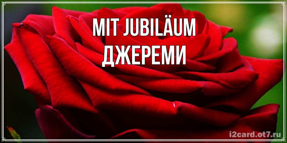 Открытка на каждый день с именем, Джереми Mit Jubiläum розочка очень красивая Прикольная открытка с пожеланием онлайн скачать бесплатно 