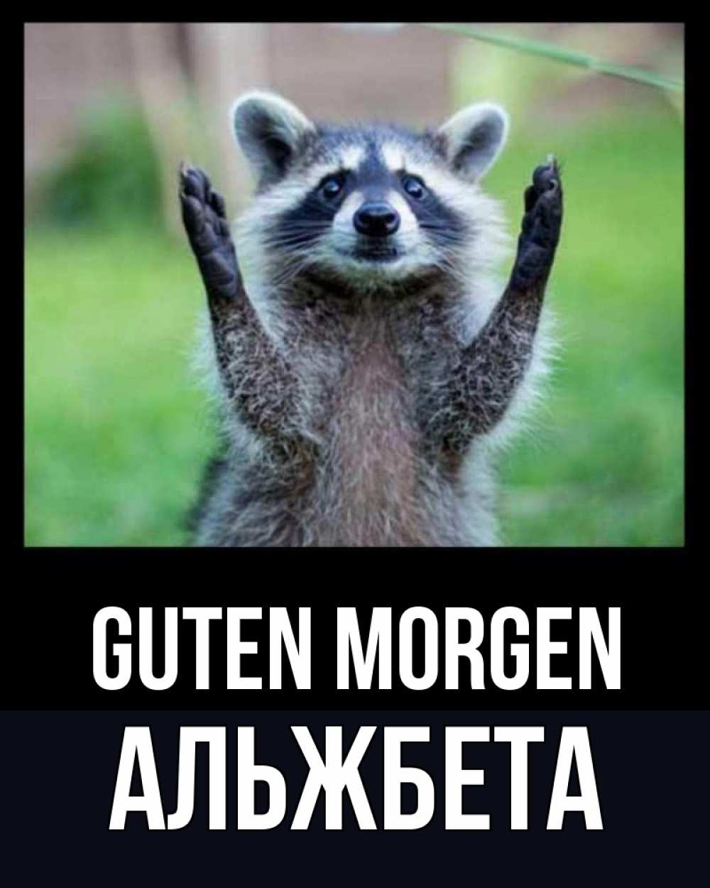 Открытка на каждый день с именем, Альжбета Guten Morgen хорошее настроение утречком Прикольная открытка с пожеланием онлайн скачать бесплатно 