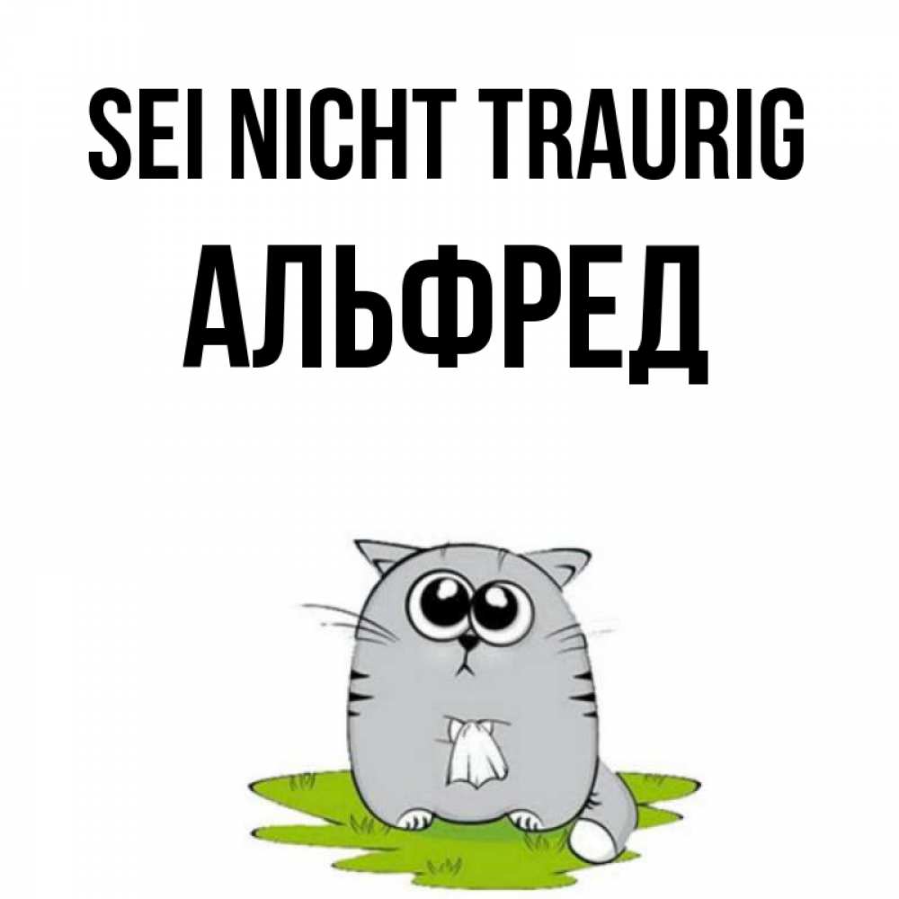 Открытка на каждый день с именем, Альфред Sei nicht traurig грустный котяра Прикольная открытка с пожеланием онлайн скачать бесплатно 