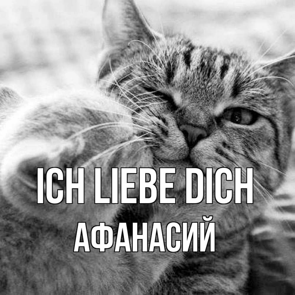 Открытка на каждый день с именем, Афанасий Ich liebe dich коты Прикольная открытка с пожеланием онлайн скачать бесплатно 