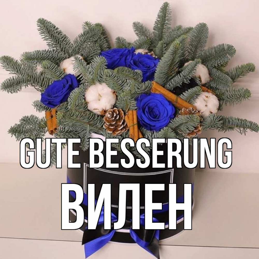 Открытка на каждый день с именем, Вилен Gute Besserung короче кто то загрузил эти шишки Прикольная открытка с пожеланием онлайн скачать бесплатно 
