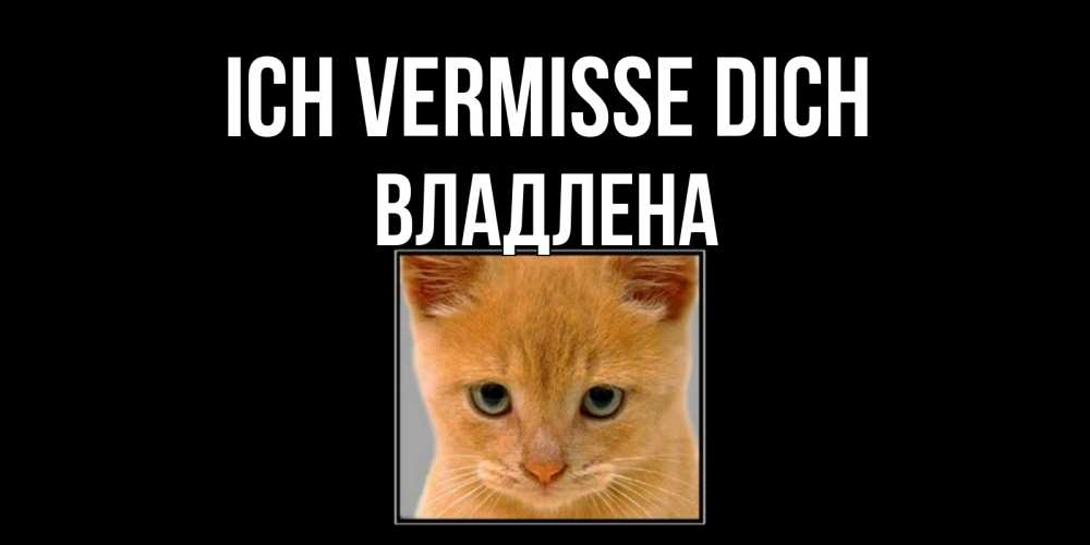 Открытка на каждый день с именем, Владлена Ich vermisse dich открытки рыжий котенок скучает по тебе Прикольная открытка с пожеланием онлайн скачать бесплатно 