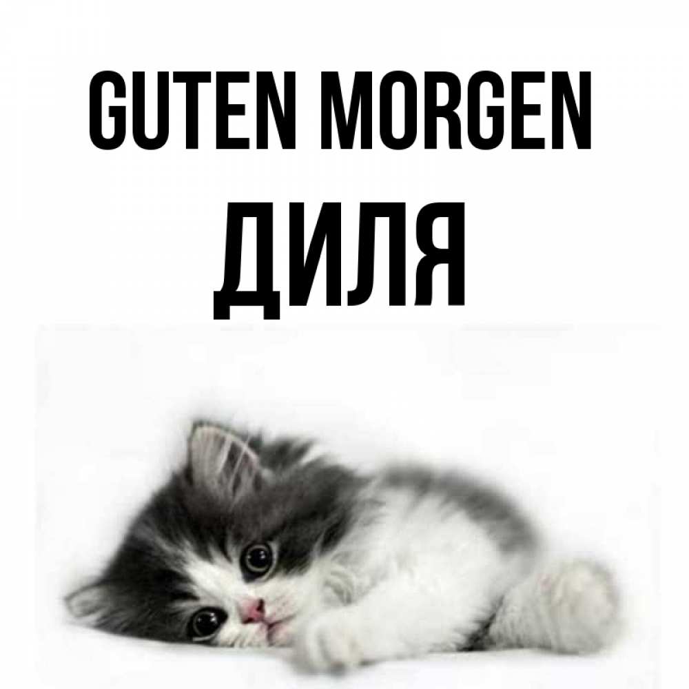 Открытка на каждый день с именем, Диля Guten Morgen кот лапки Прикольная открытка с пожеланием онлайн скачать бесплатно 