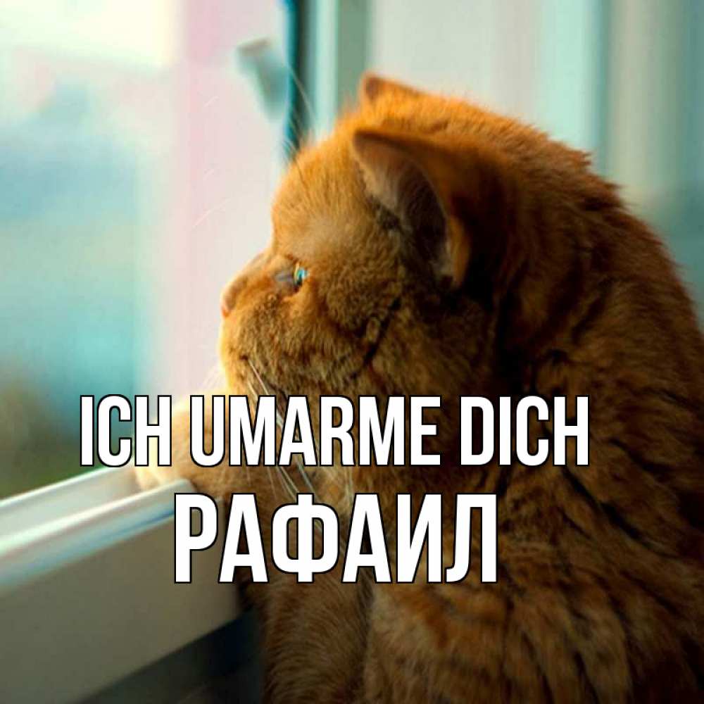 Открытка на каждый день с именем, Рафаил Ich umarme dich большой огромный рыжий котяра Прикольная открытка с пожеланием онлайн скачать бесплатно 