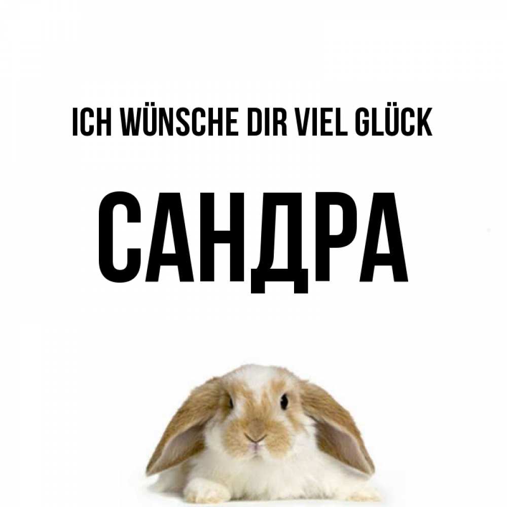 Открытка на каждый день с именем, Сандра Ich wünsche dir viel Glück открытки с произвольным текстом который можно вставить в открытку и создать ее самостоятельно бесплатно онлайн Прикольная открытка с пожеланием онлайн скачать бесплатно 