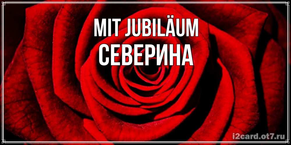 Открытка на каждый день с именем, Северина Mit Jubiläum алая роза Прикольная открытка с пожеланием онлайн скачать бесплатно 
