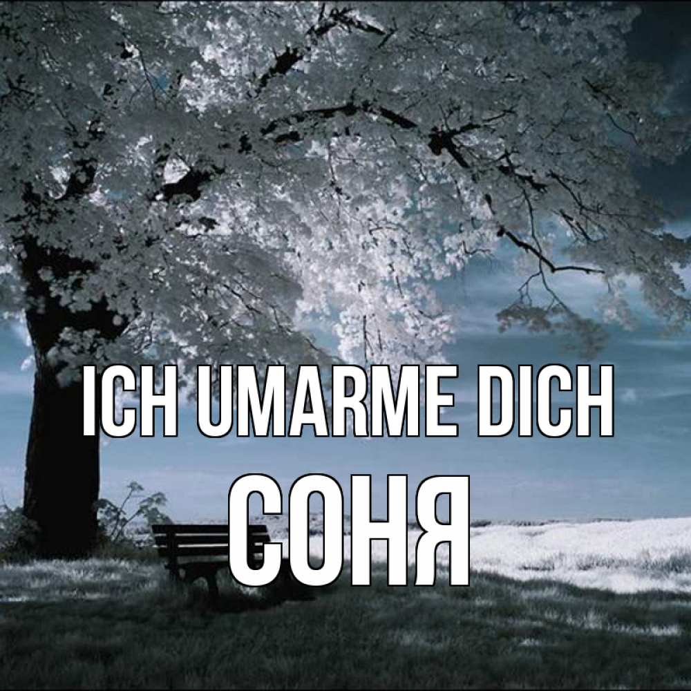 Открытка на каждый день с именем, Соня Ich umarme dich дерево Прикольная открытка с пожеланием онлайн скачать бесплатно 