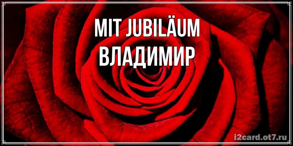 Открытка на каждый день с именем, Владимир Mit Jubiläum алая роза Прикольная открытка с пожеланием онлайн скачать бесплатно 
