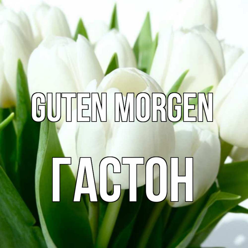 Открытка на каждый день с именем, Гастон Guten Morgen открытки на каждый день по именам Прикольная открытка с пожеланием онлайн скачать бесплатно 