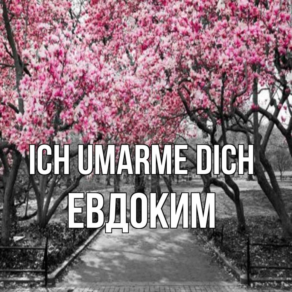 Открытка на каждый день с именем, Евдоким Ich umarme dich обработанное фото Прикольная открытка с пожеланием онлайн скачать бесплатно 