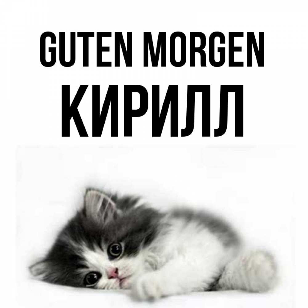 Открытка на каждый день с именем, Кирилл Guten Morgen кот лапки Прикольная открытка с пожеланием онлайн скачать бесплатно 
