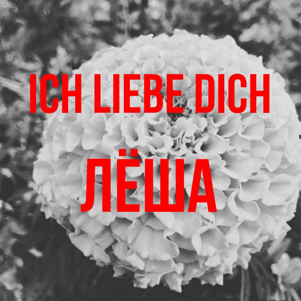 Открытка на каждый день с именем, Лёша Ich liebe dich подпись Прикольная открытка с пожеланием онлайн скачать бесплатно 