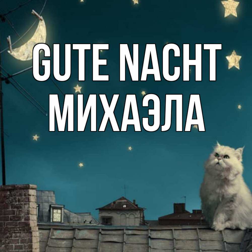 Открытка на каждый день с именем, Михаэла Gute Nacht белый кот сидит на крыше Прикольная открытка с пожеланием онлайн скачать бесплатно 