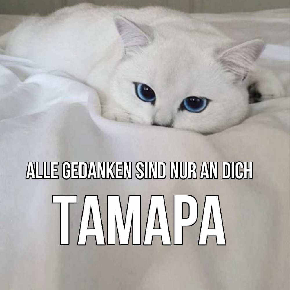 Открытка на каждый день с именем, Тамара Alle Gedanken sind nur an dich я очень по тебе скучаю и тоскую Прикольная открытка с пожеланием онлайн скачать бесплатно 