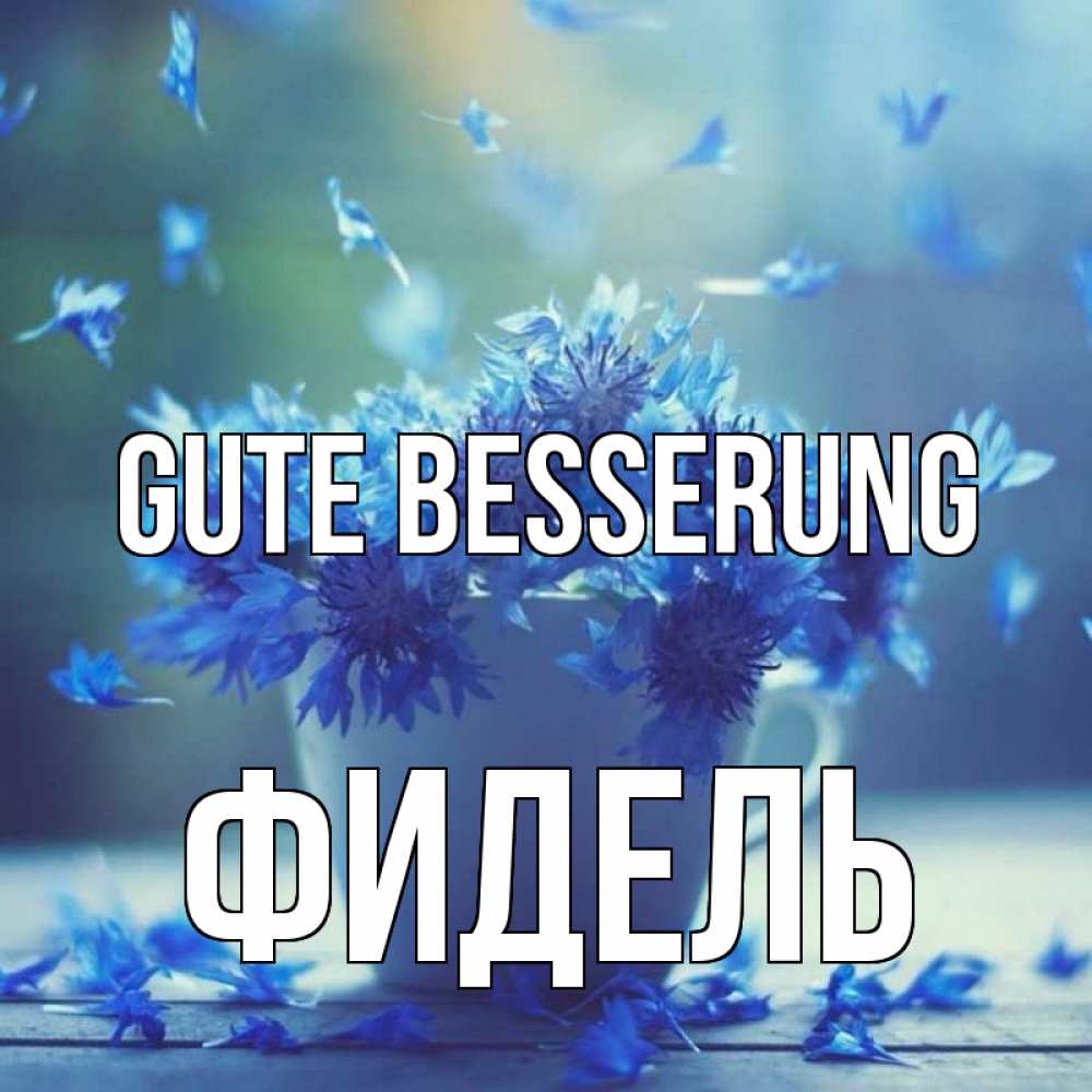 Открытка на каждый день с именем, Фидель Gute Besserung кружка с зельем и цветами Прикольная открытка с пожеланием онлайн скачать бесплатно 
