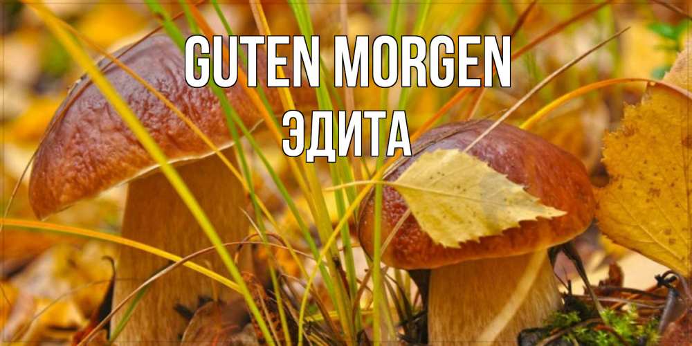 Открытка на каждый день с именем, Эдита Guten Morgen осенние грибы Прикольная открытка с пожеланием онлайн скачать бесплатно 