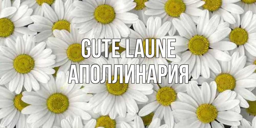 Открытка на каждый день с именем, Аполлинария Gute Laune поляна ромашек Прикольная открытка с пожеланием онлайн скачать бесплатно 