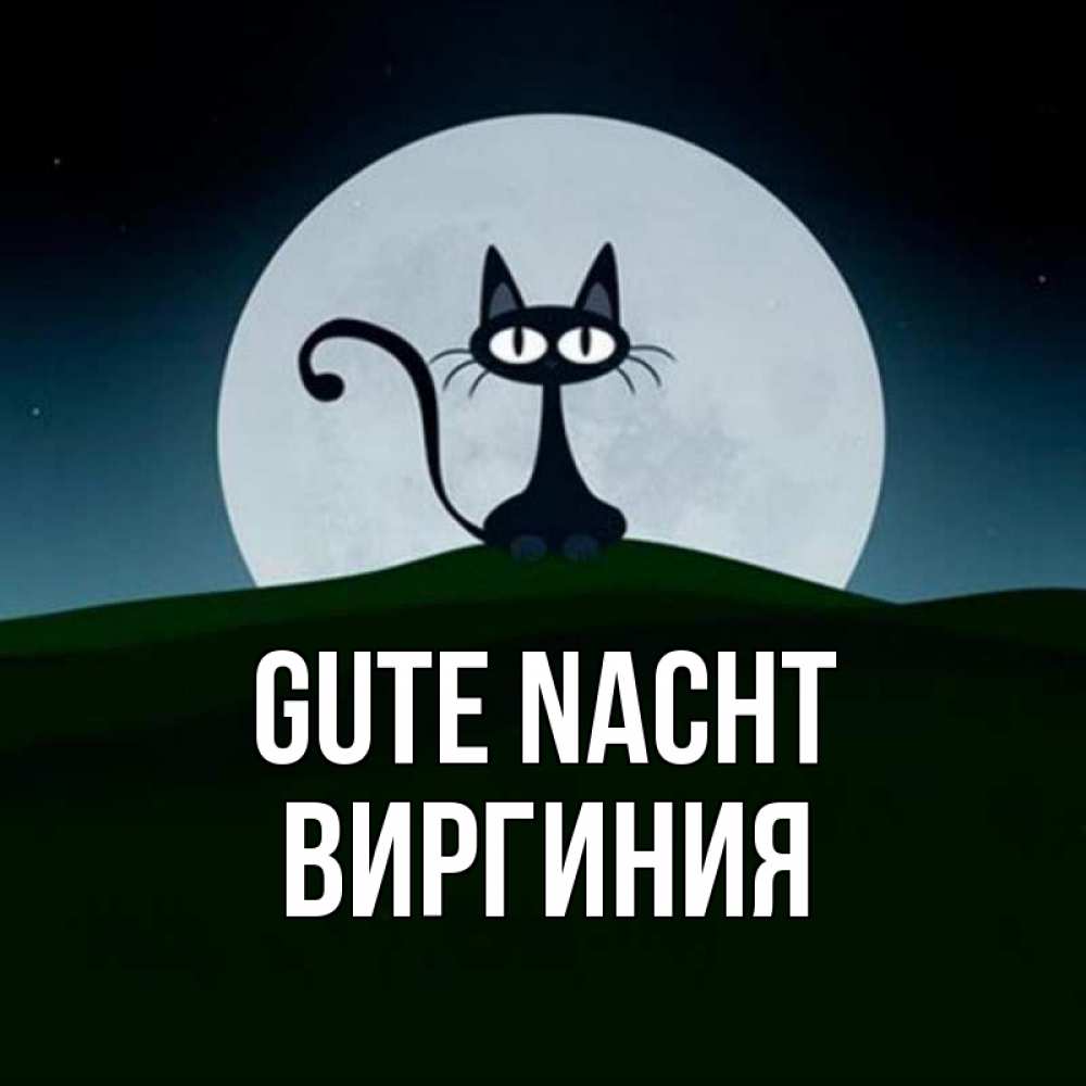 Открытка на каждый день с именем, Виргиния Gute Nacht хорошо выспаться ночью и без кошмаров Прикольная открытка с пожеланием онлайн скачать бесплатно 