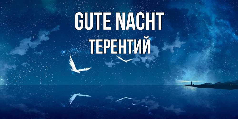 Открытка на каждый день с именем, Терентий Gute Nacht птицы летят на фоне ночного неба Прикольная открытка с пожеланием онлайн скачать бесплатно 