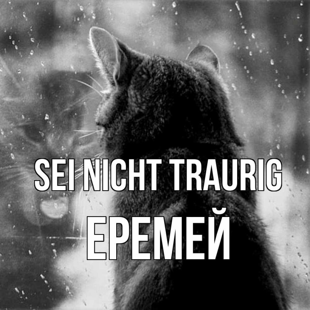 Открытка на каждый день с именем, Еремей Sei nicht traurig отражение кота 1 Прикольная открытка с пожеланием онлайн скачать бесплатно 