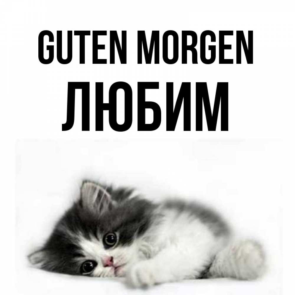 Открытка на каждый день с именем, Любим Guten Morgen кот лапки Прикольная открытка с пожеланием онлайн скачать бесплатно 