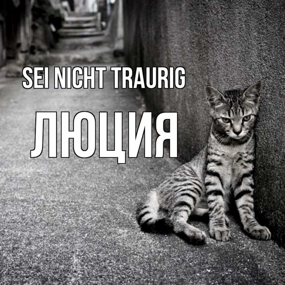 Открытка на каждый день с именем, Люция Sei nicht traurig скучающий котик Прикольная открытка с пожеланием онлайн скачать бесплатно 