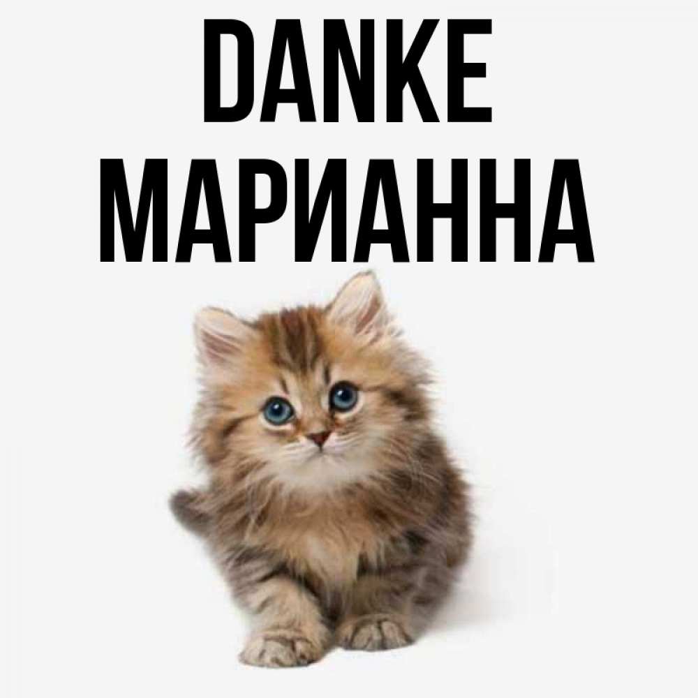 Открытка на каждый день с именем, Марианна Danke пушистый котик Прикольная открытка с пожеланием онлайн скачать бесплатно 
