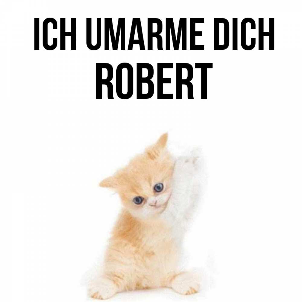 Открытка на каждый день с именем, Robert Ich umarme dich я хочу очень скорее обнимаешек Прикольная открытка с пожеланием онлайн скачать бесплатно 