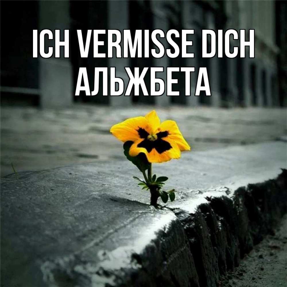 Открытка на каждый день с именем, Альжбета Ich vermisse dich надеюсь будет лучше Прикольная открытка с пожеланием онлайн скачать бесплатно 